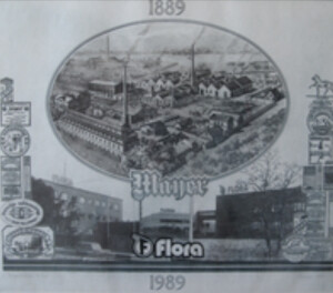 Flora